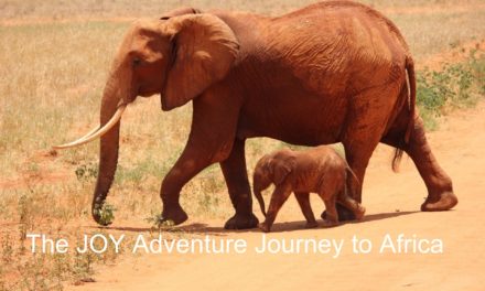 Africa Travel Adventure